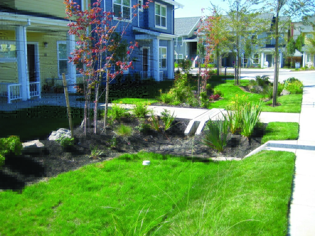Rain Garden Ideas