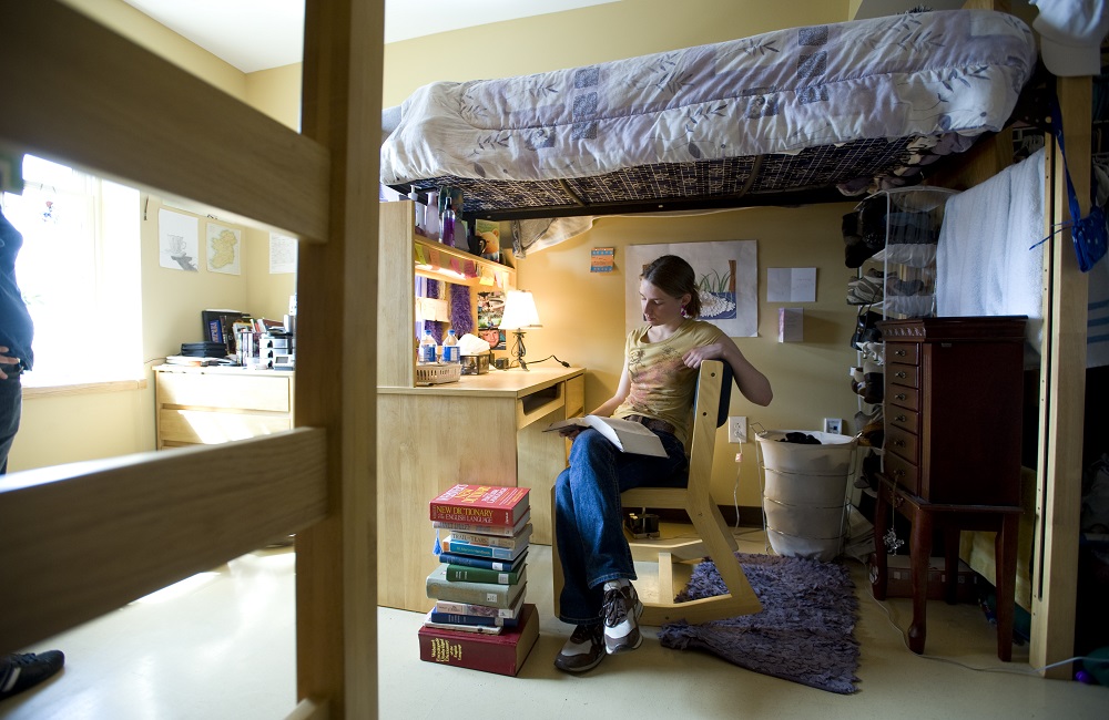 Earthy Dorm Room