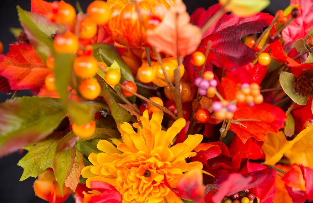 Fall Flowers