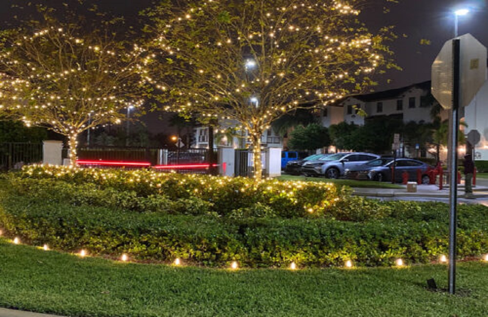 Outdoor Christmas Lights Ideas