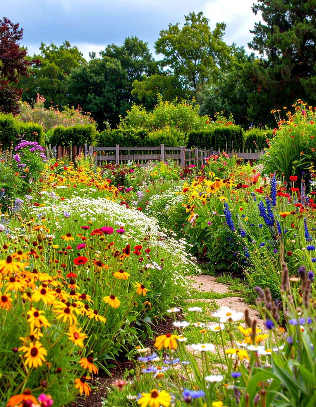 Annual Wildflower Gardens - 24 Wildflower Garden Ideas
