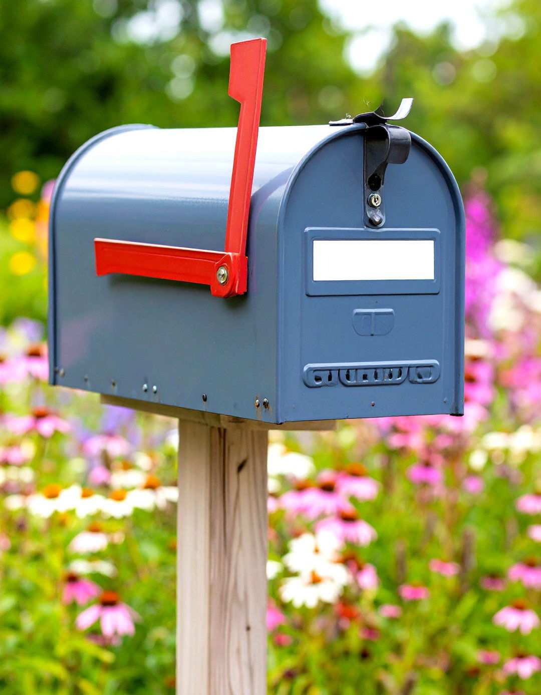 Butterfly Pollinator Haven - 24 Mailbox Landscaping Ideas