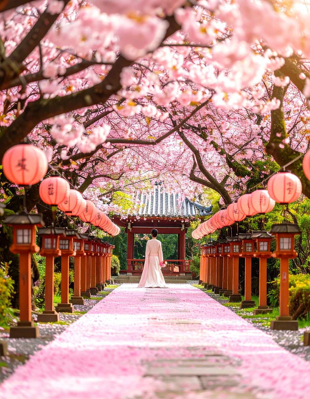 Cherry Blossom Spring Wedding - 24 Spring Wedding Ideas