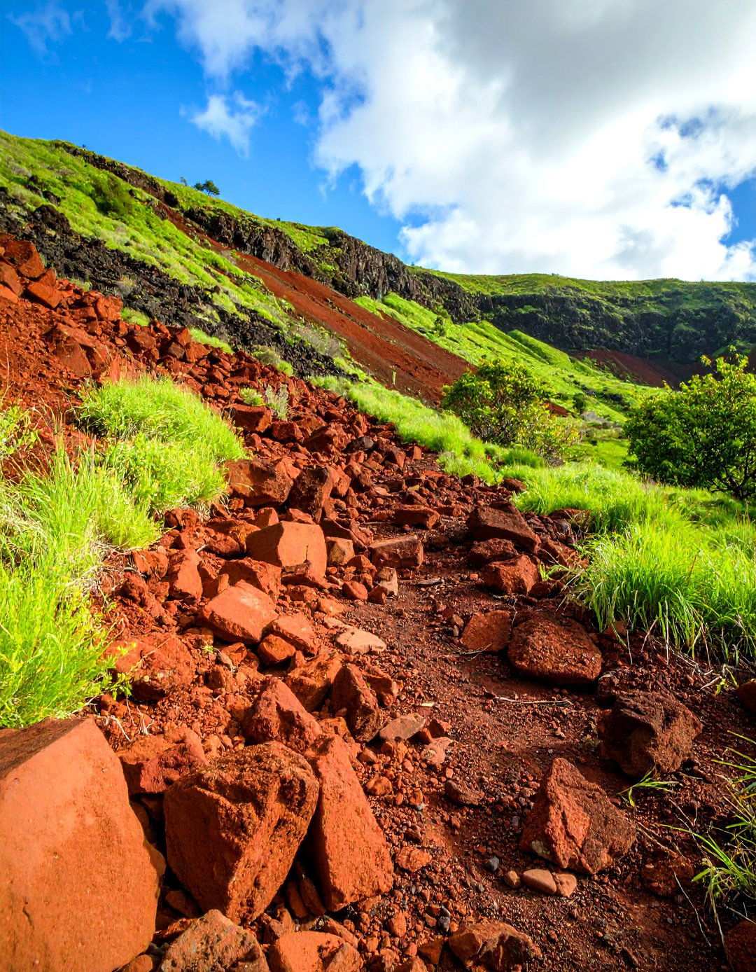 Erosion Control Applications - 24 Red Lava Rock Landscaping Ideas