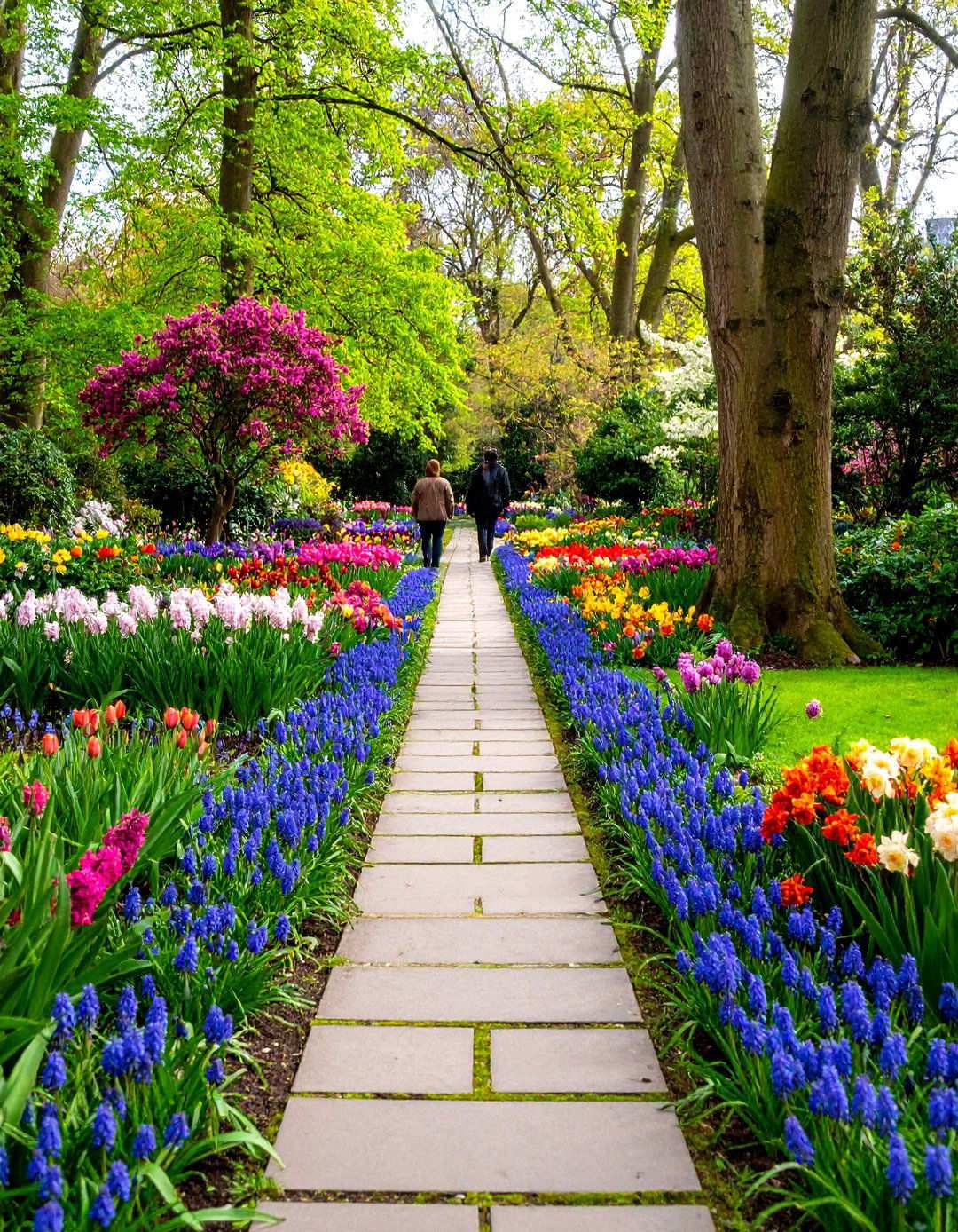 Fragrant Spring Garden Path - 24 Spring Garden Ideas