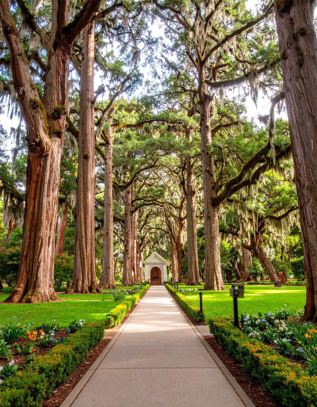 Memorial Tree Grove - 24 Memorial Garden Ideas
