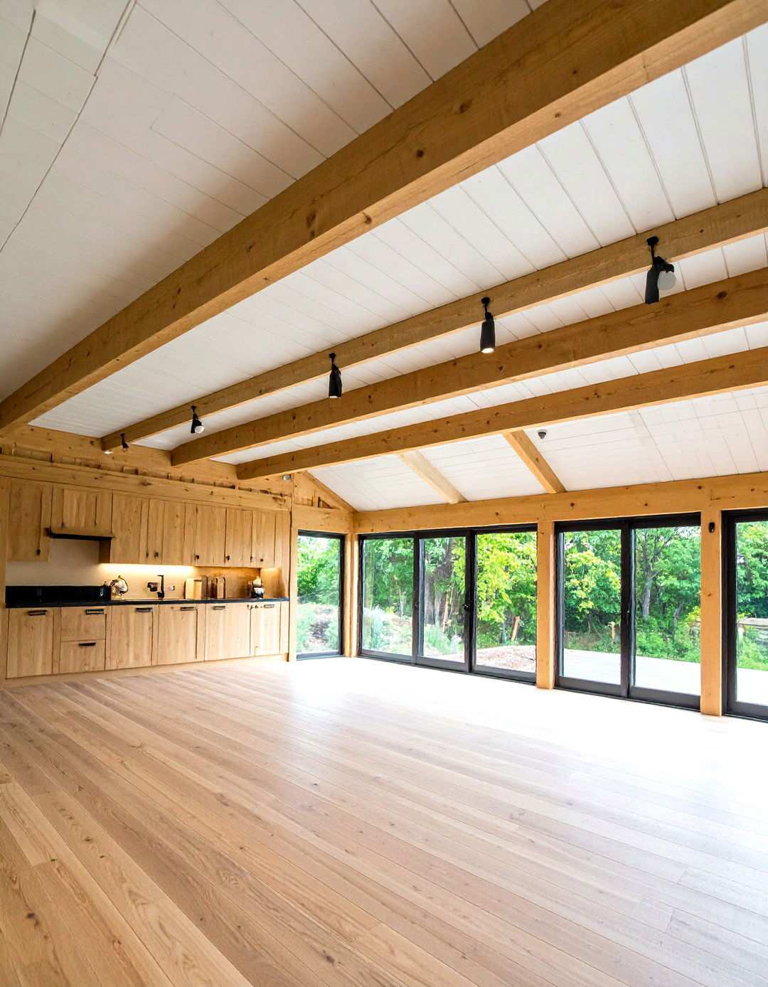 Modern White Shiplap Ceiling with Track Lighting - 24 Shed Ceiling Ideas