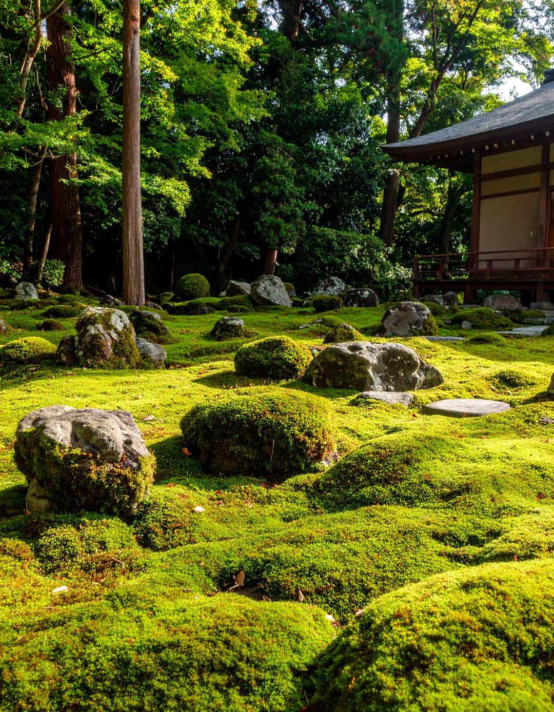 Moss Garden Sanctuary Spaces - 24 Shady Garden Ideas