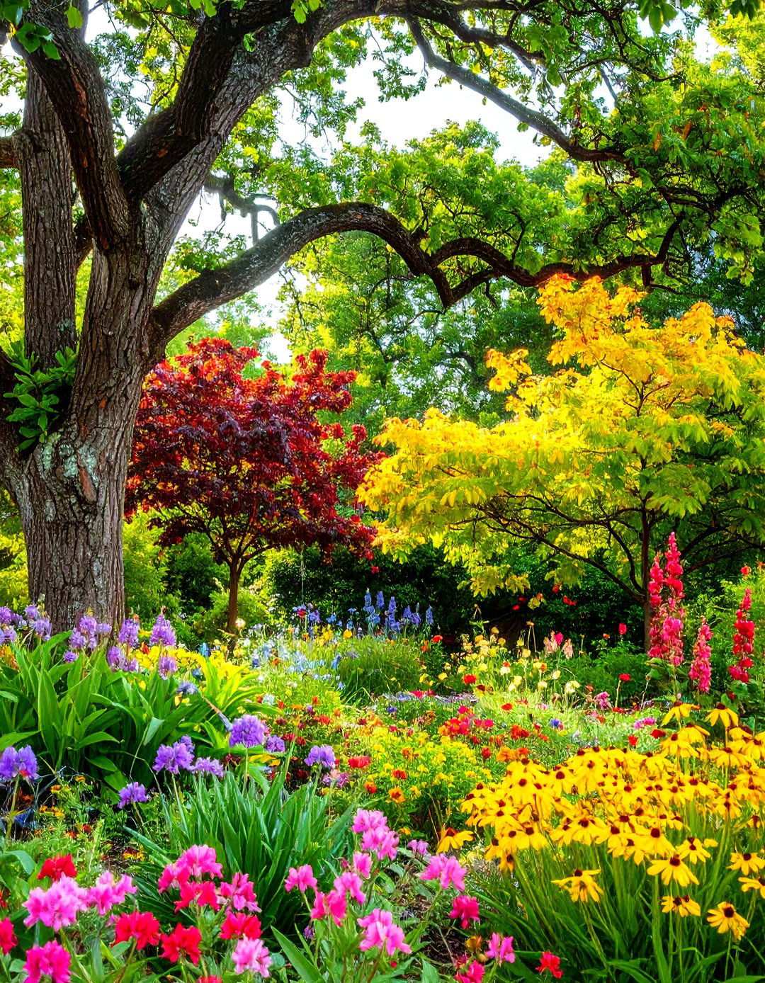 Native Tree Ecosystems - 24 Tree Landscaping Ideas