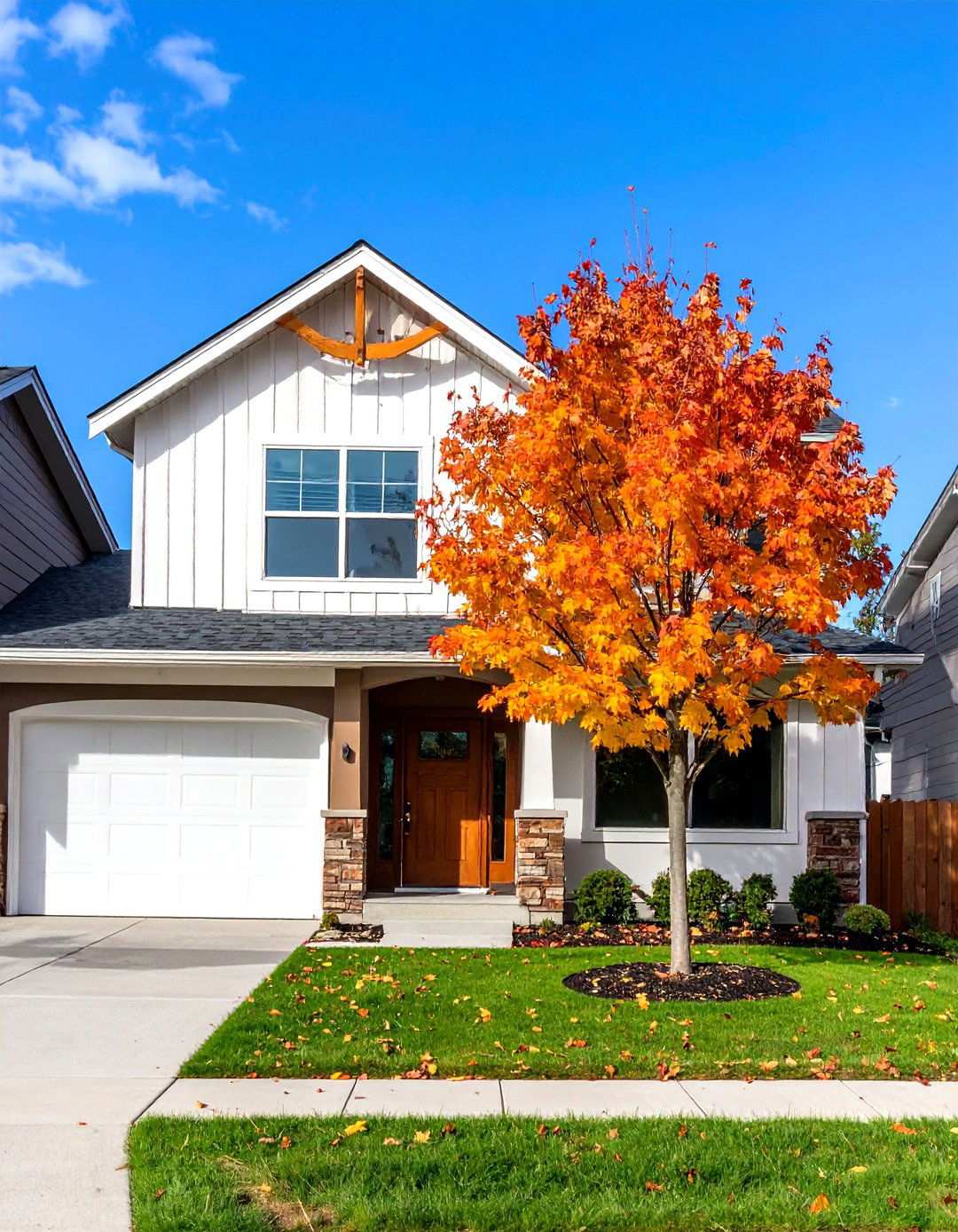 Paperbark Maple Features - 24 Small Trees for Front Yard