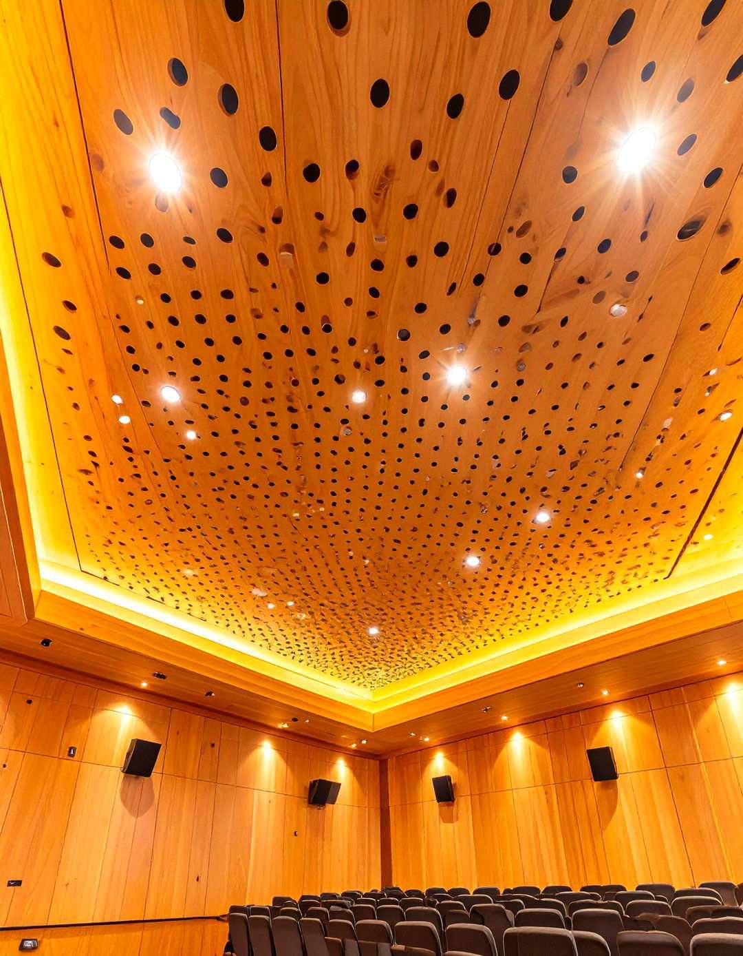 Perforated High Tech Sound Solutions - 24 Wood Slat Ceiling Ideas