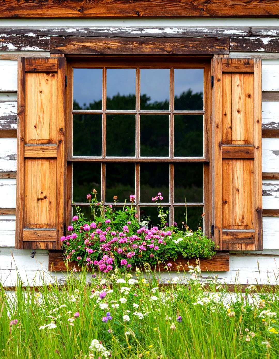 Prairie Native Window Box - 24 window box ideas