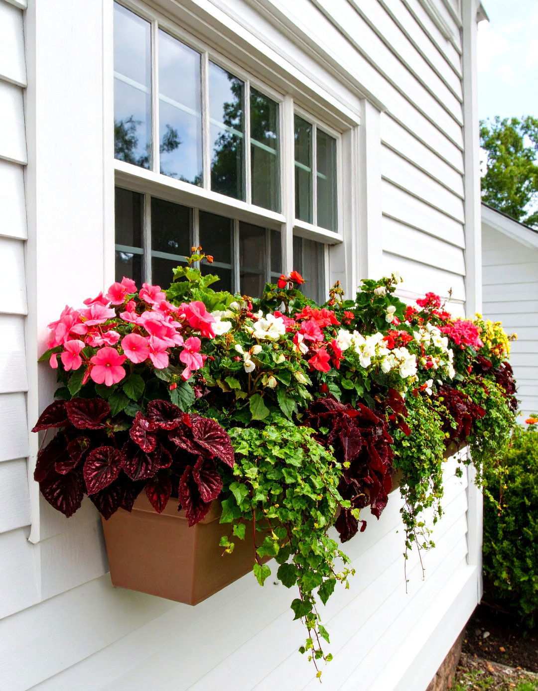 Shade Loving Window Box - 24 window box ideas