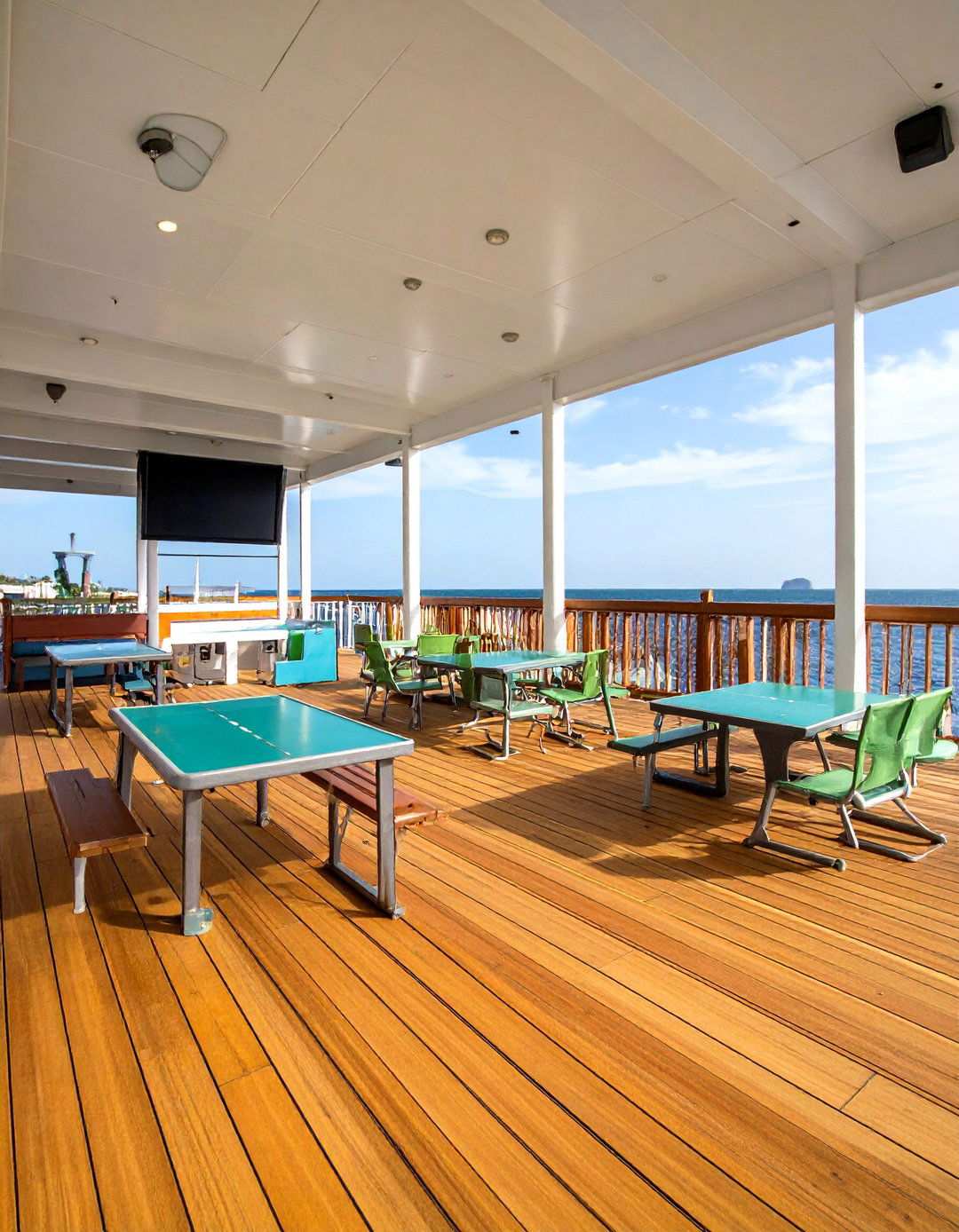 Sports and Recreation Deck - 24 Large Deck Ideas