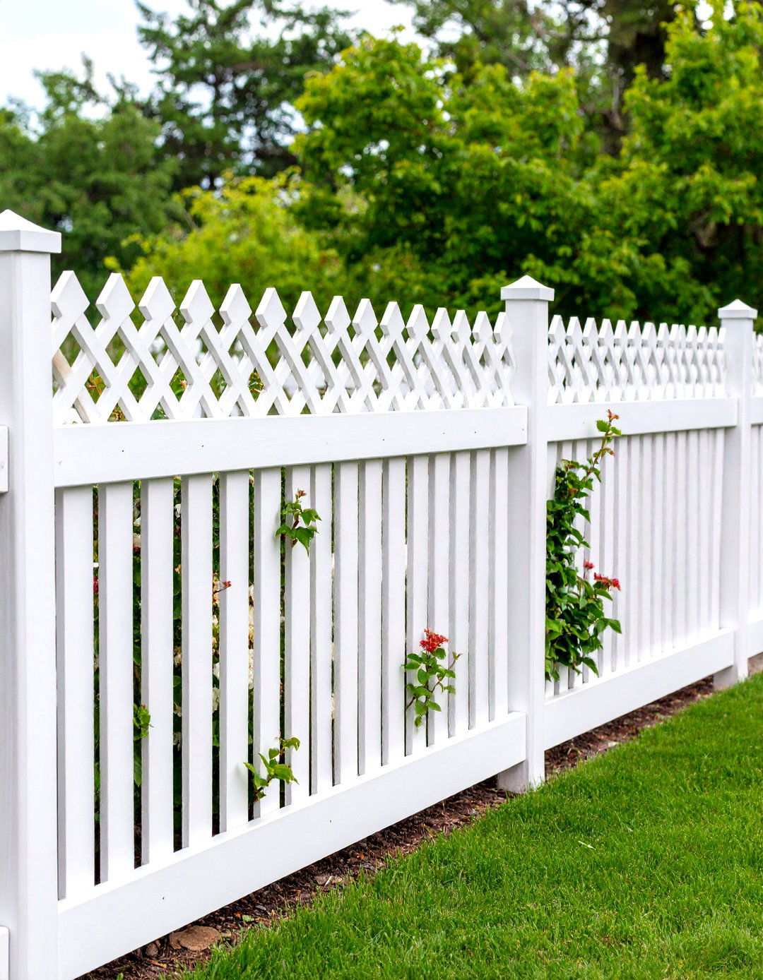 White Privacy Fence with Diamond Lattice Top - 24 White Privacy Fence Ideas
