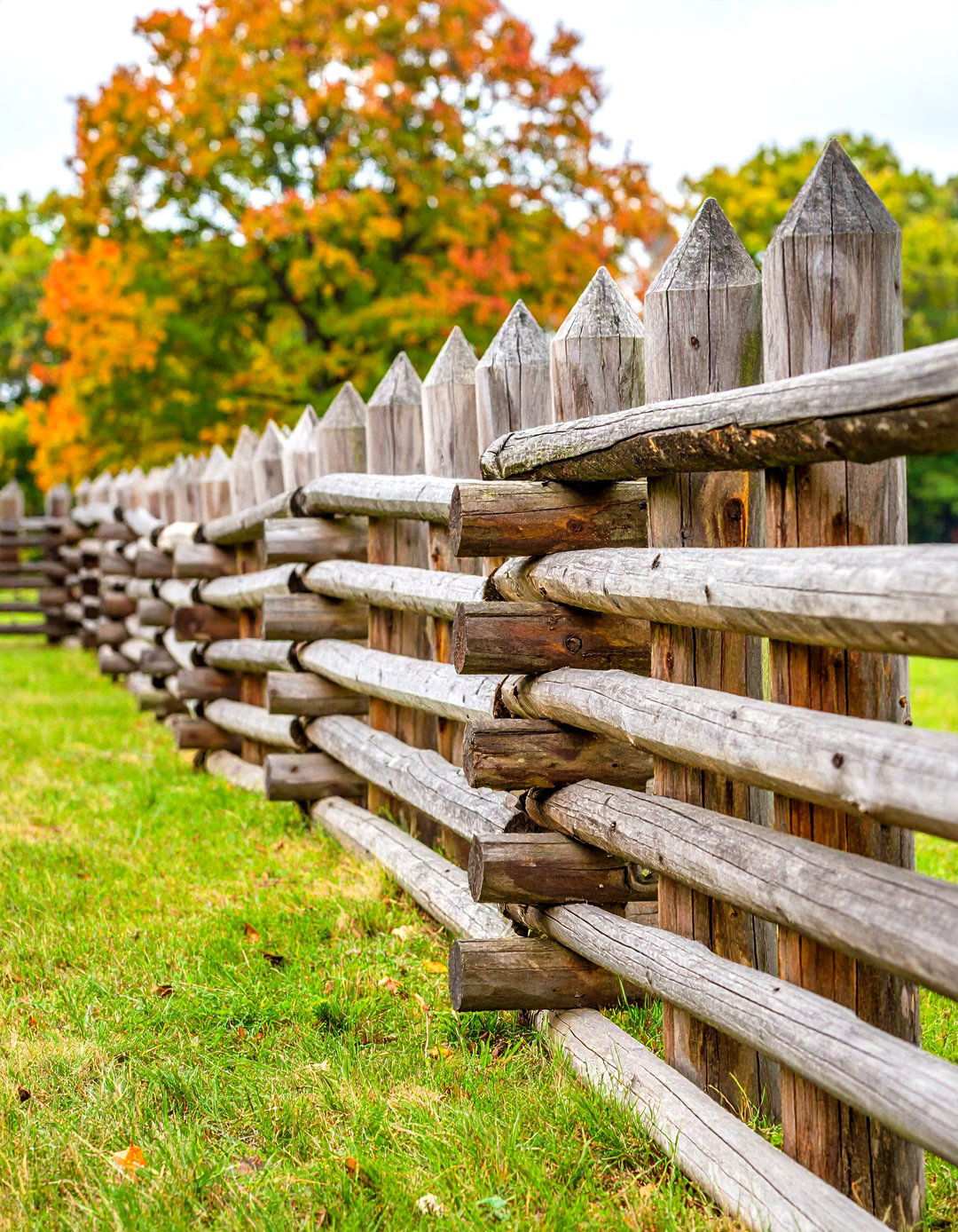Zigzag Snake Rail Heritage Fencing - 24 Split Rail Fence Ideas